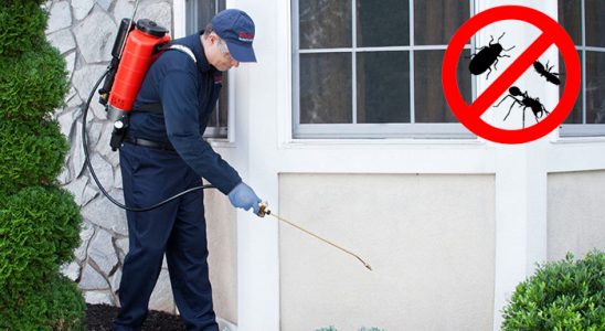 Çorlu Tahtakurusu İlaçlama böcek ilaçlama ve haşere kontrolü — ilaclama-tr.com